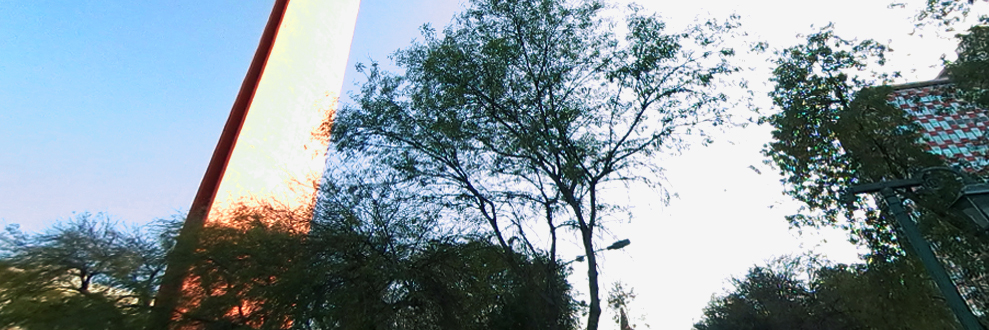banner